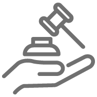 Regulatory Support Icon