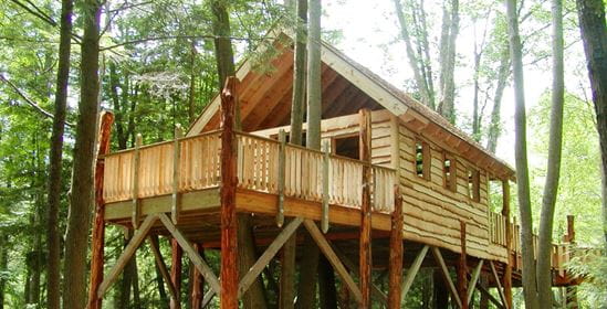 Camp Victory Tree House