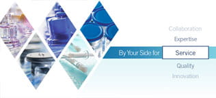 By Your Side for Service