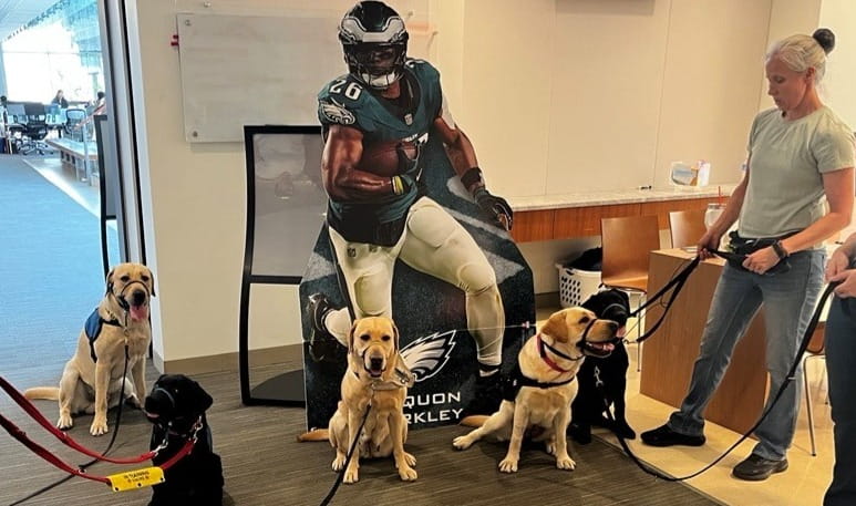 Handichiens Charity in France