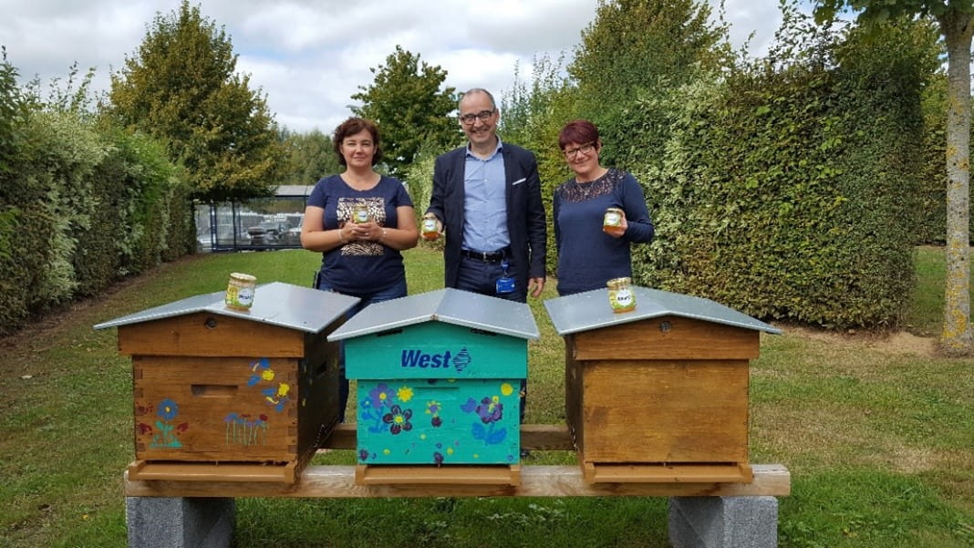 West employees standing with beehives and jars of honey during a sustainability initiative.