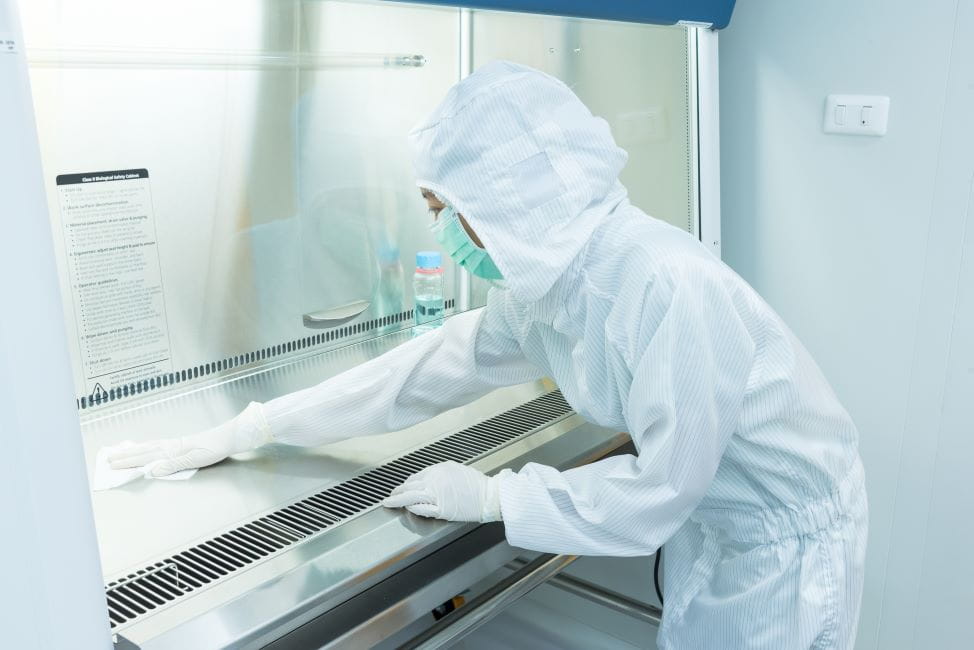 Technician cleaning a biosafety cabinet in a sterile workspace.