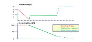 Lyophilization Table